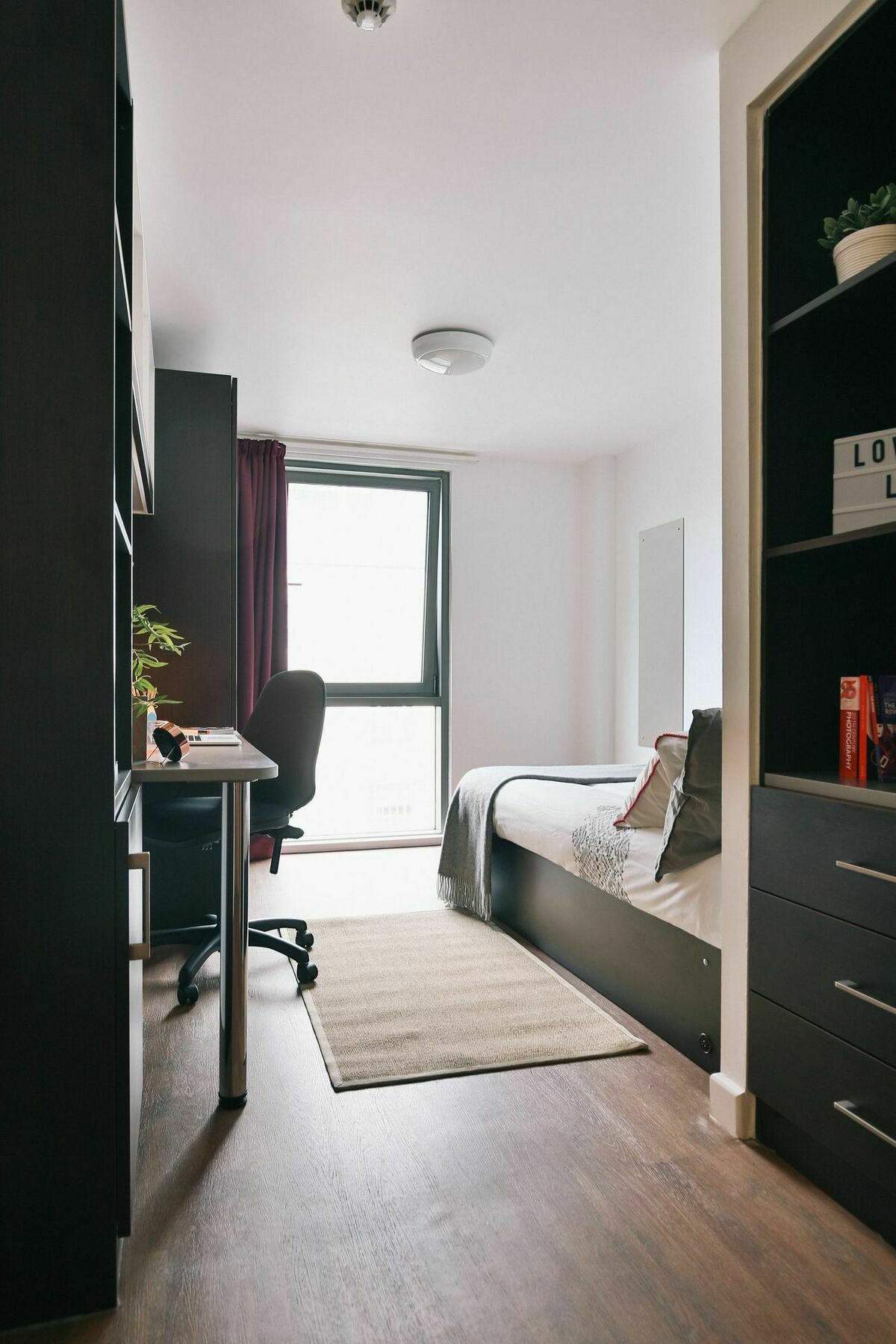 Apartmán Hashtag Plymouth Exteriér fotografie